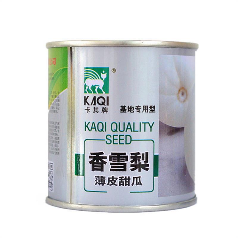 香雪梨蒲皮甜瓜种子白皮白肉水果香瓜种籽早熟超甜四季高产抗病