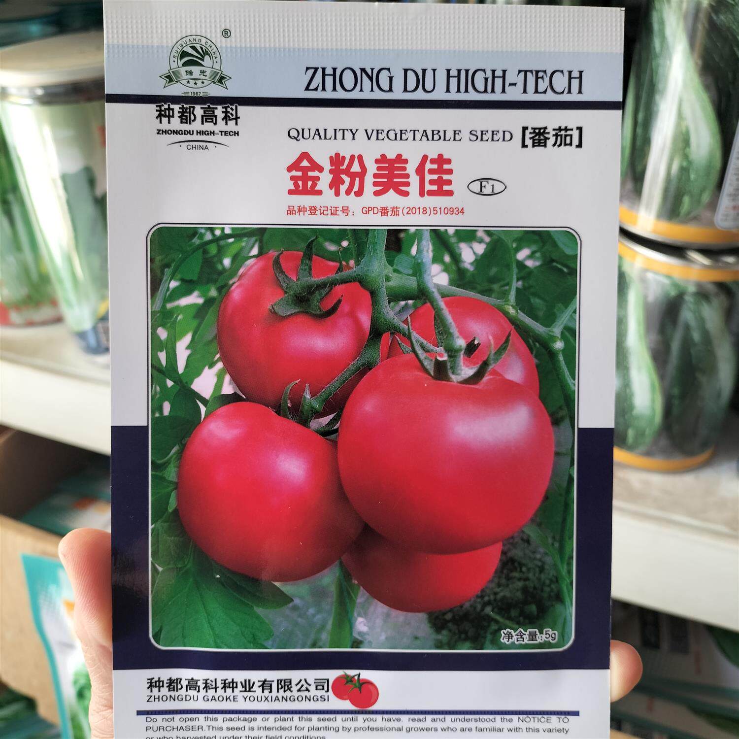 金粉美佳番茄种子无限生