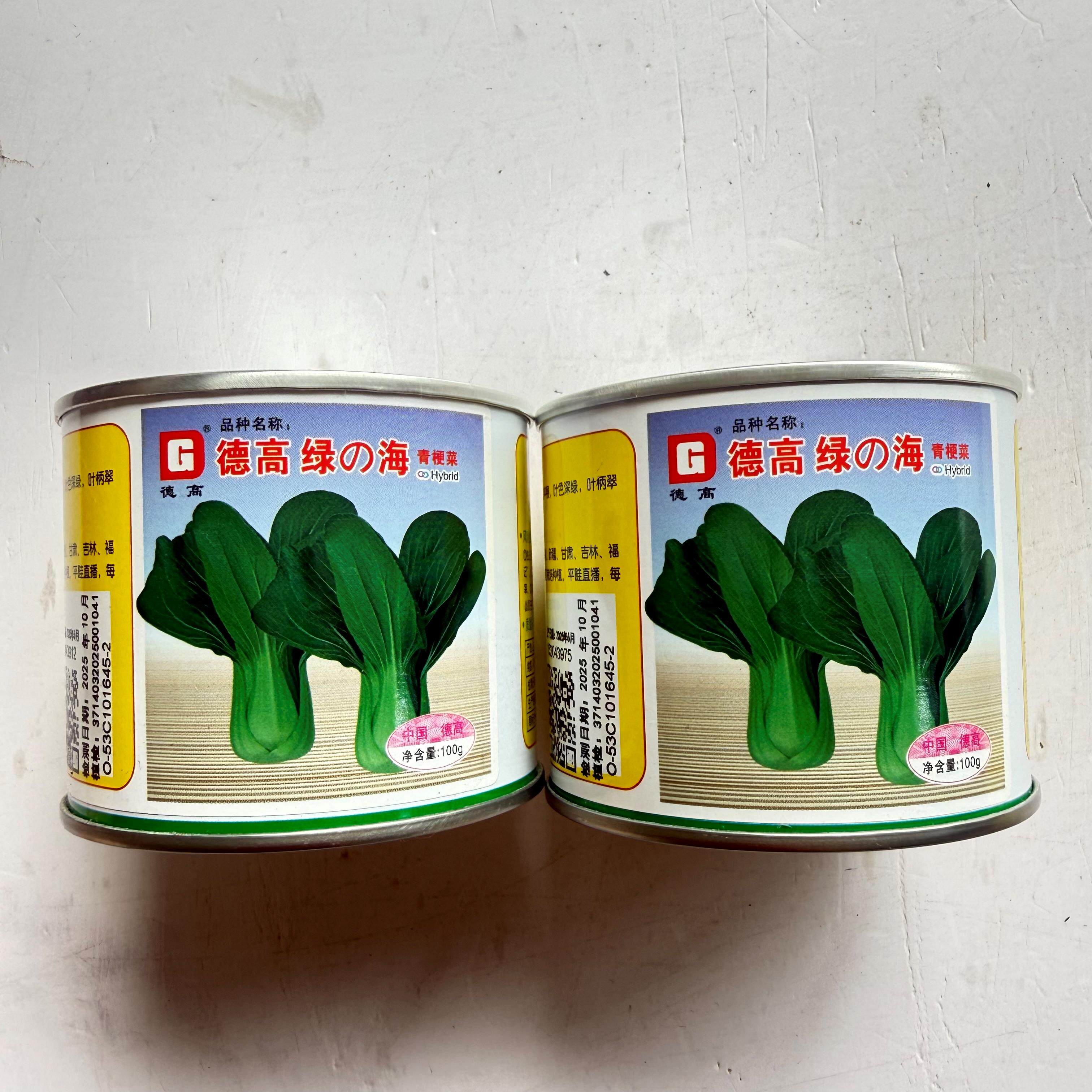 德高绿海青梗菜种子一代