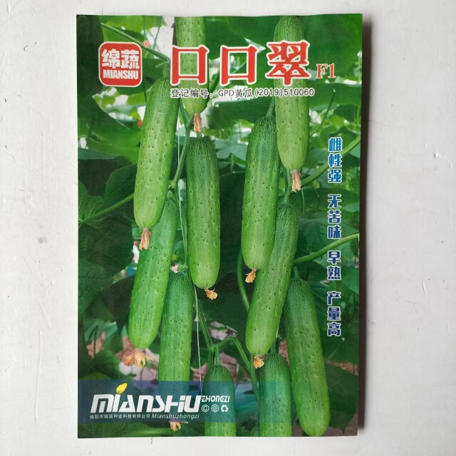口口翠黄瓜种子无苦味黄瓜种籽水果型口口脆爽四川春季田园蔬菜孑