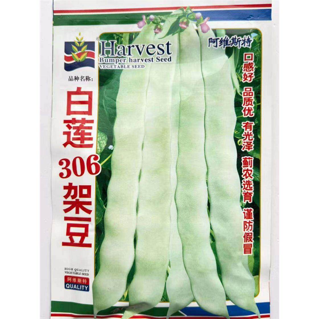 白莲306架豆种子早熟高产