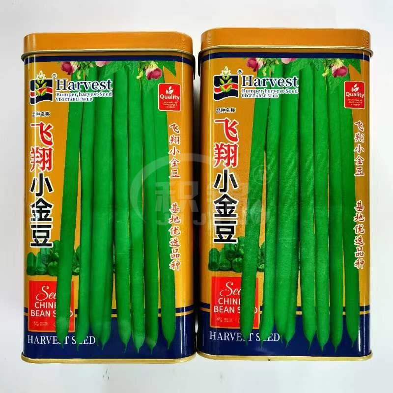蓟农飞翔小金豆架豆种子蔬菜优质高产耐热耐寒商品性佳春秋播精选