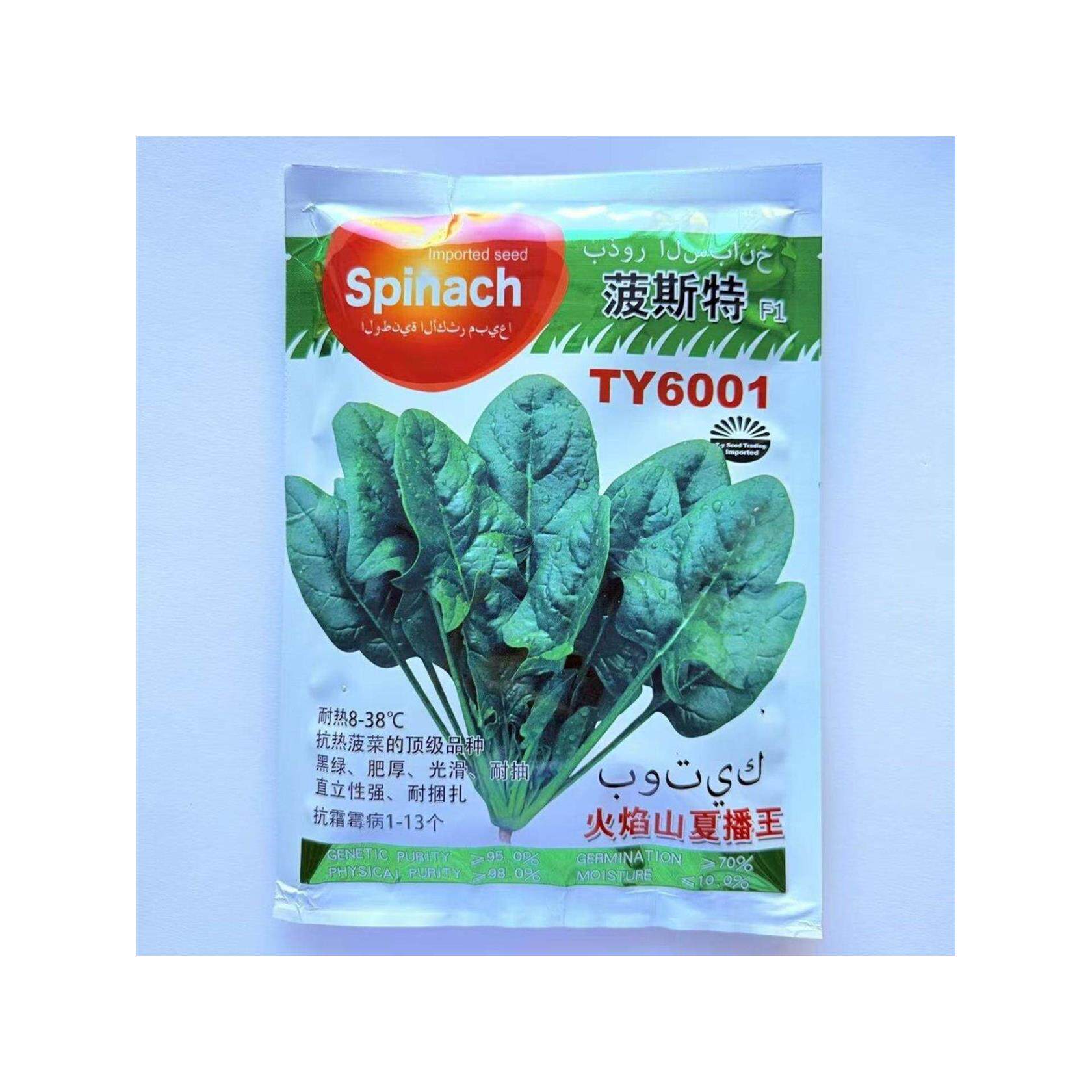 耐热菠菜种子火焰山夏播