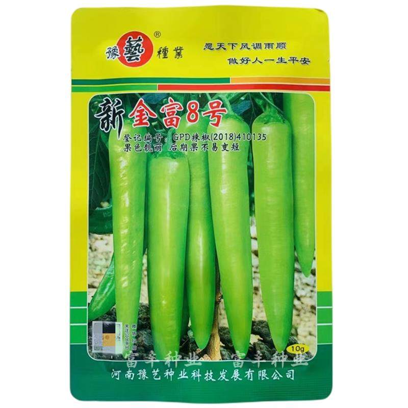 新金富808早熟大果黄皮椒种子香辣尖椒粗长牛角型辣椒种子大棚种