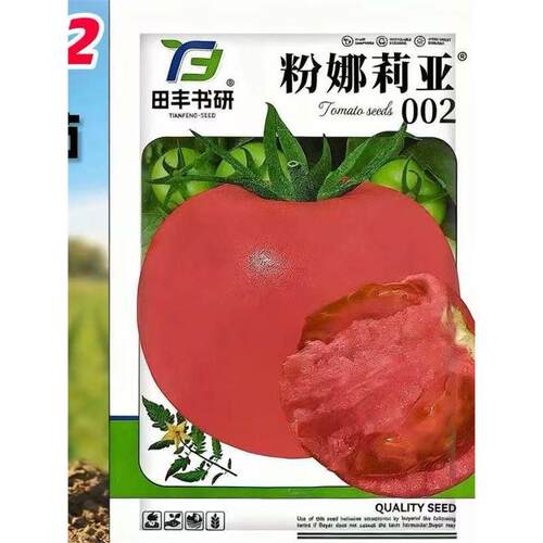粉娜莉亚002番茄种子无限