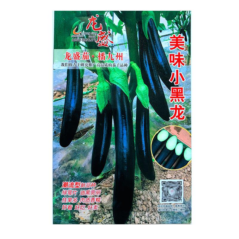 黑美味小黑龙茄子种子长茄子种籽早熟抗病高产优质茄种孑春秋播孑