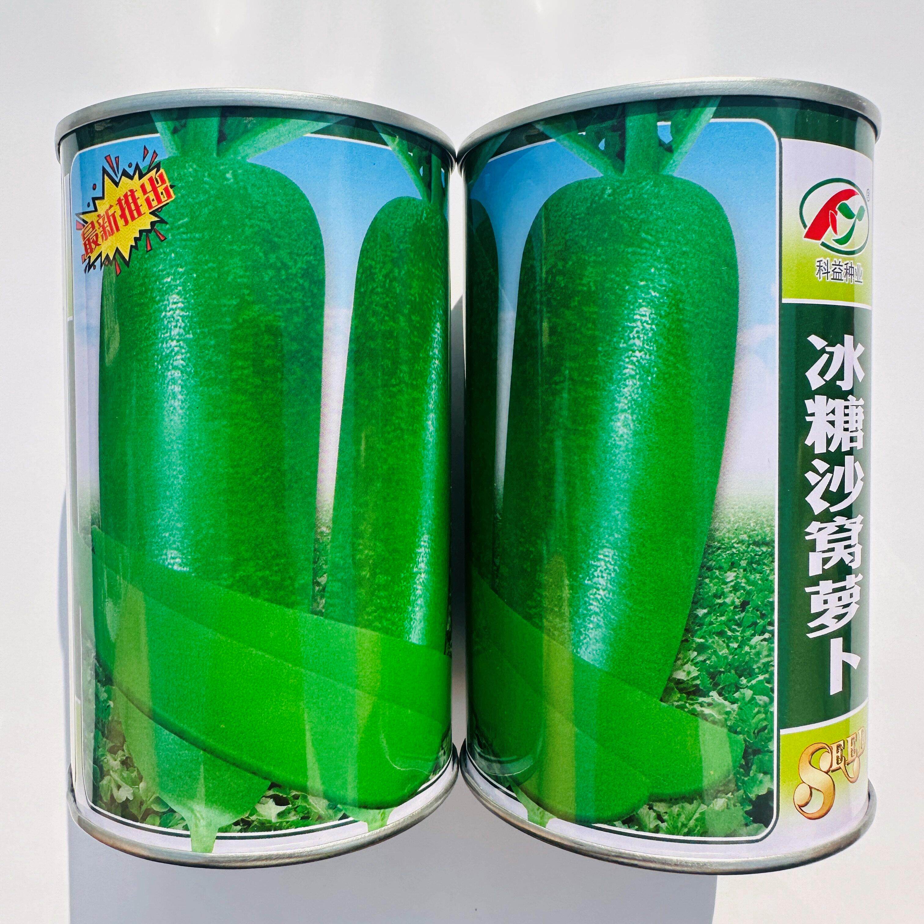 天津冰糖沙窝萝卜种子甜