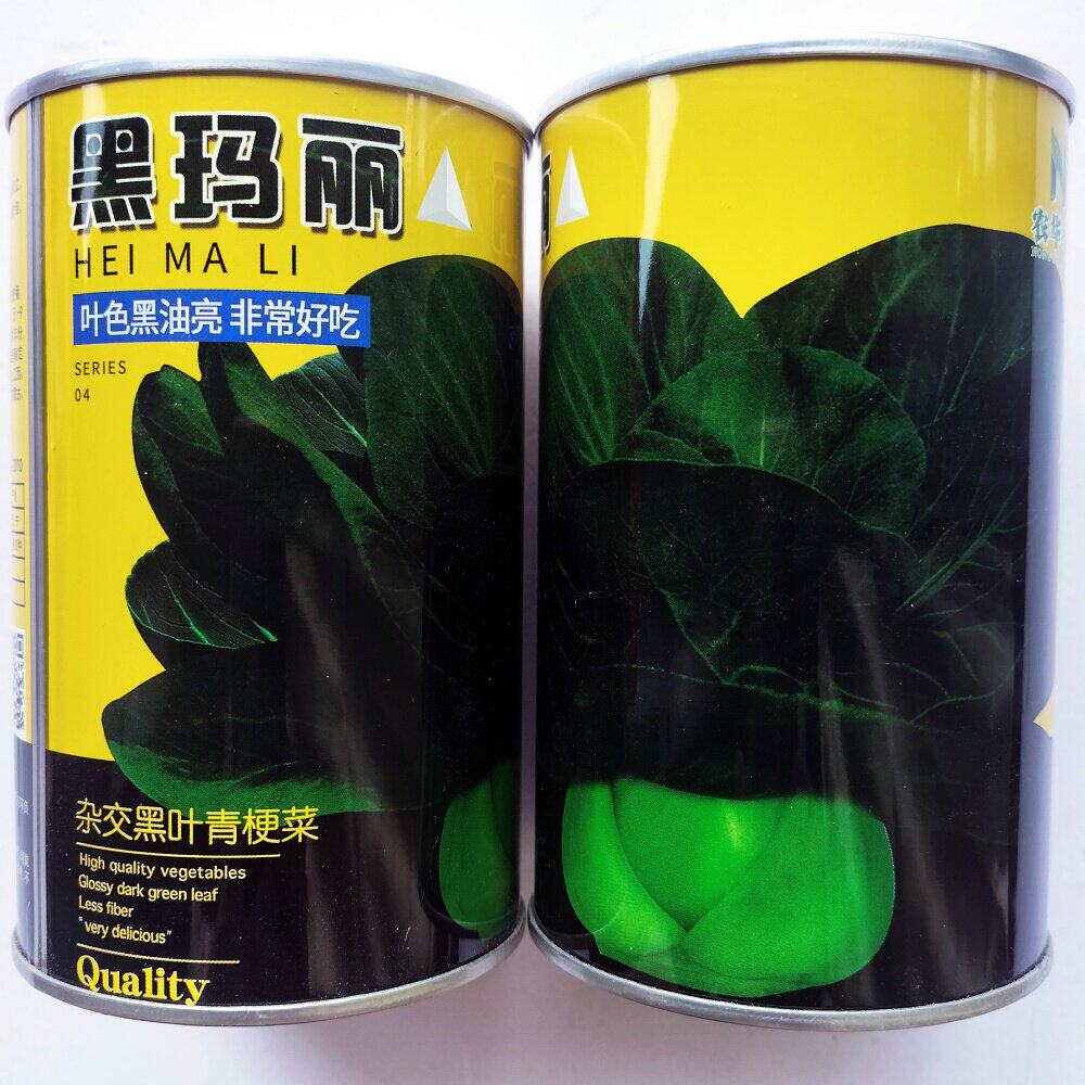黑玛丽杂交黑叶青梗菜种