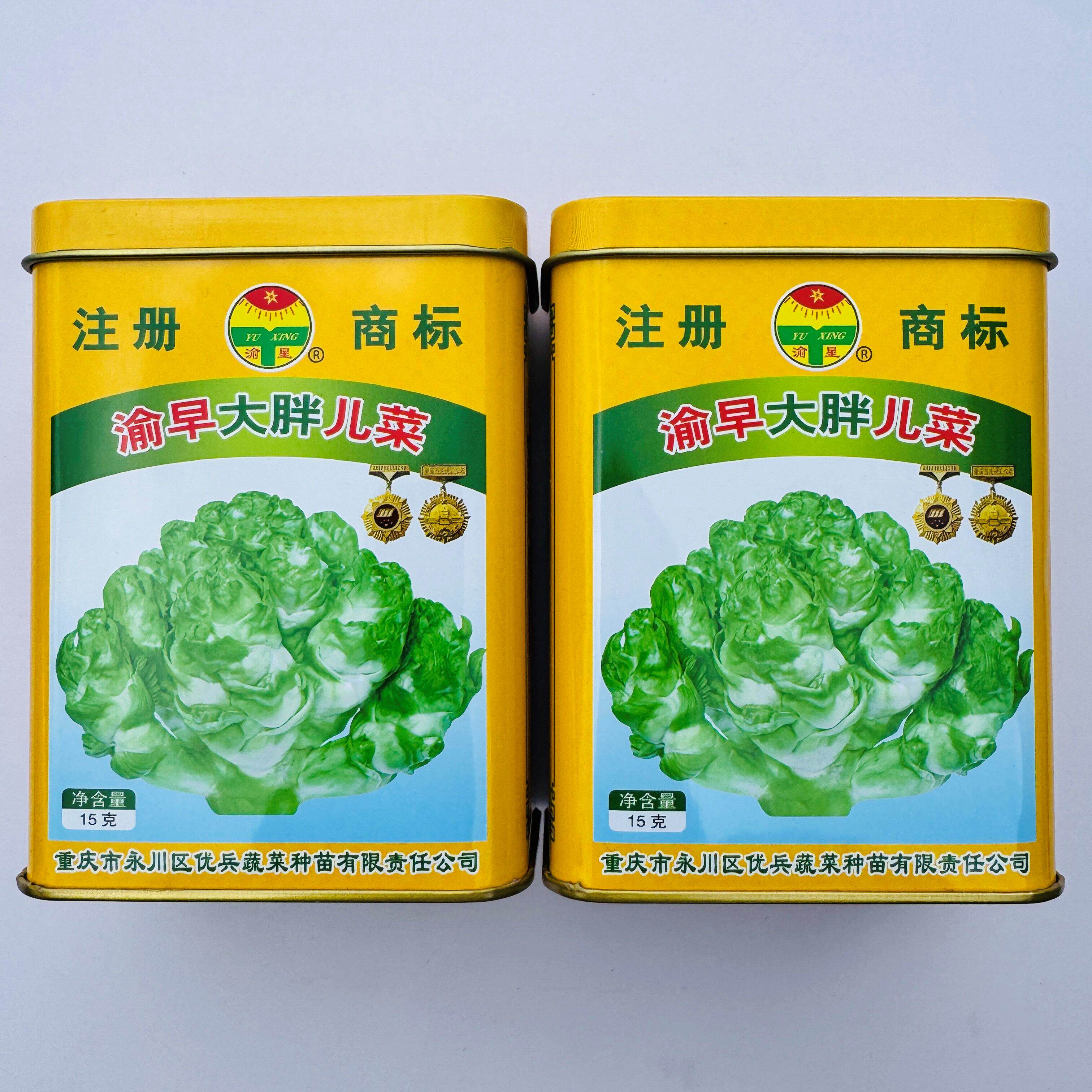 新育成渝早大胖儿菜种子