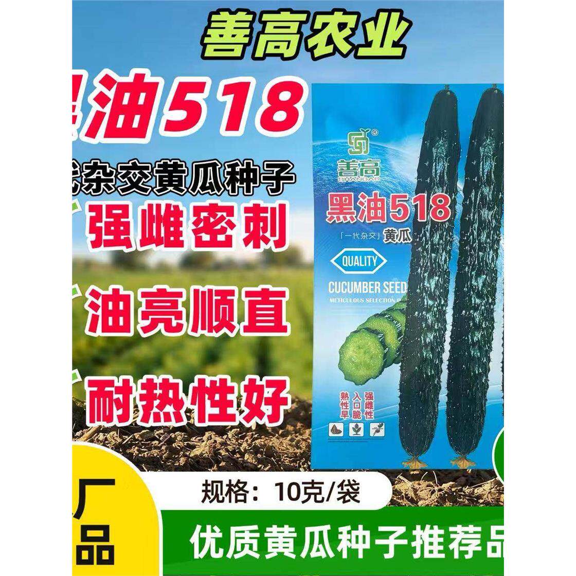 黑油518黄瓜种子早熟亮强