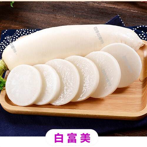 韩国白玉萝卜种子长白萝卜种子高产白富美四季阳台盆栽蔬菜种籽孑