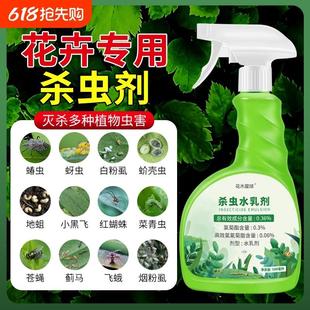 治花盆里小飞虫的药去除克星花生虫用什么药花药家用植物灭杀神器