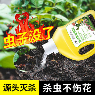 植物小飞虫灭杀神器治花土里飞虫的药花土驱虫养花防虫药地下虫药