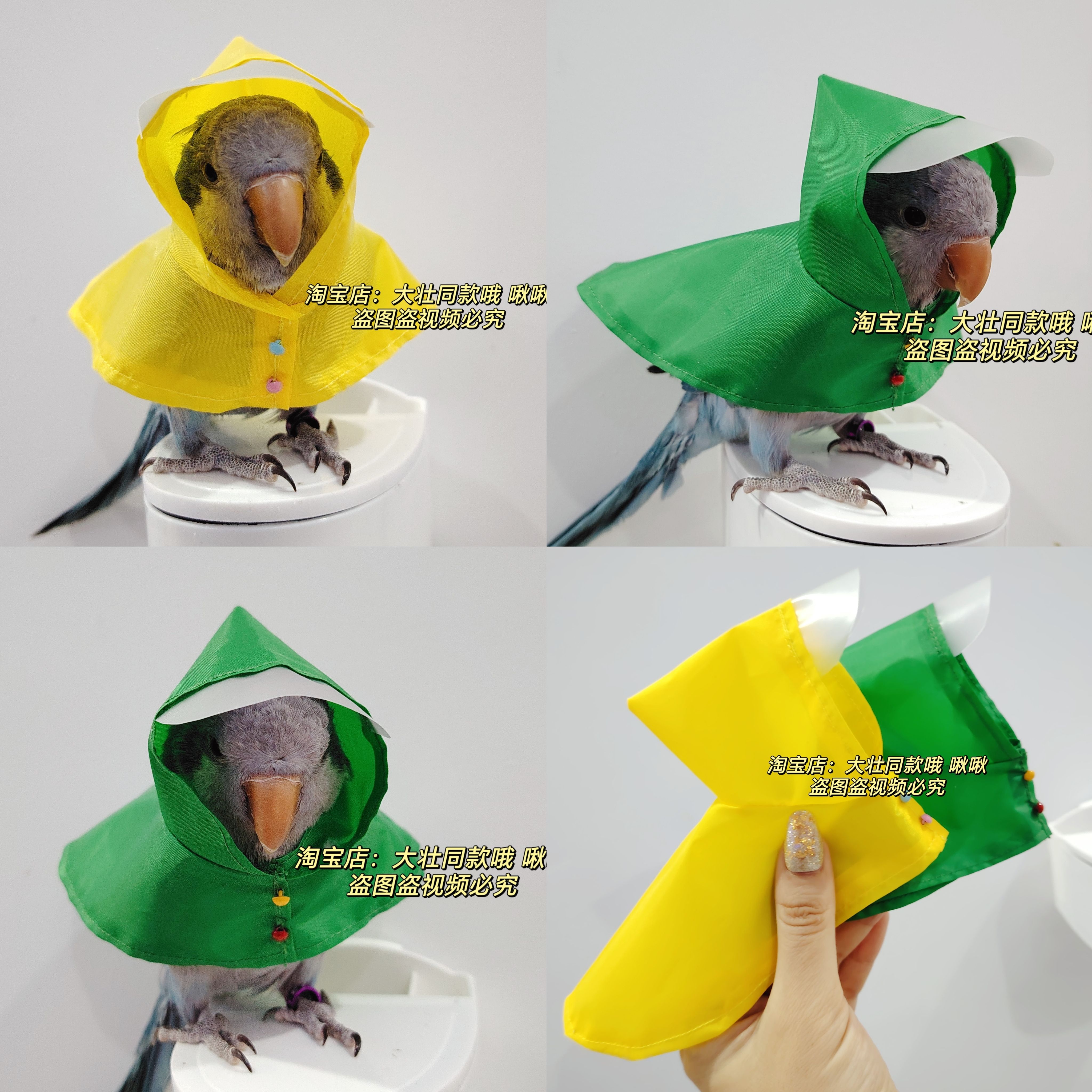 宠物鹦鹉雨衣防水雨天衣服小中型全包雨披鸟用品可爱鸟雨衣