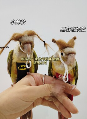 小鸟鹦鹉假发 虎皮玄凤牡丹鹦鹉鸟戴的帽子宠物小帽子头饰品头套