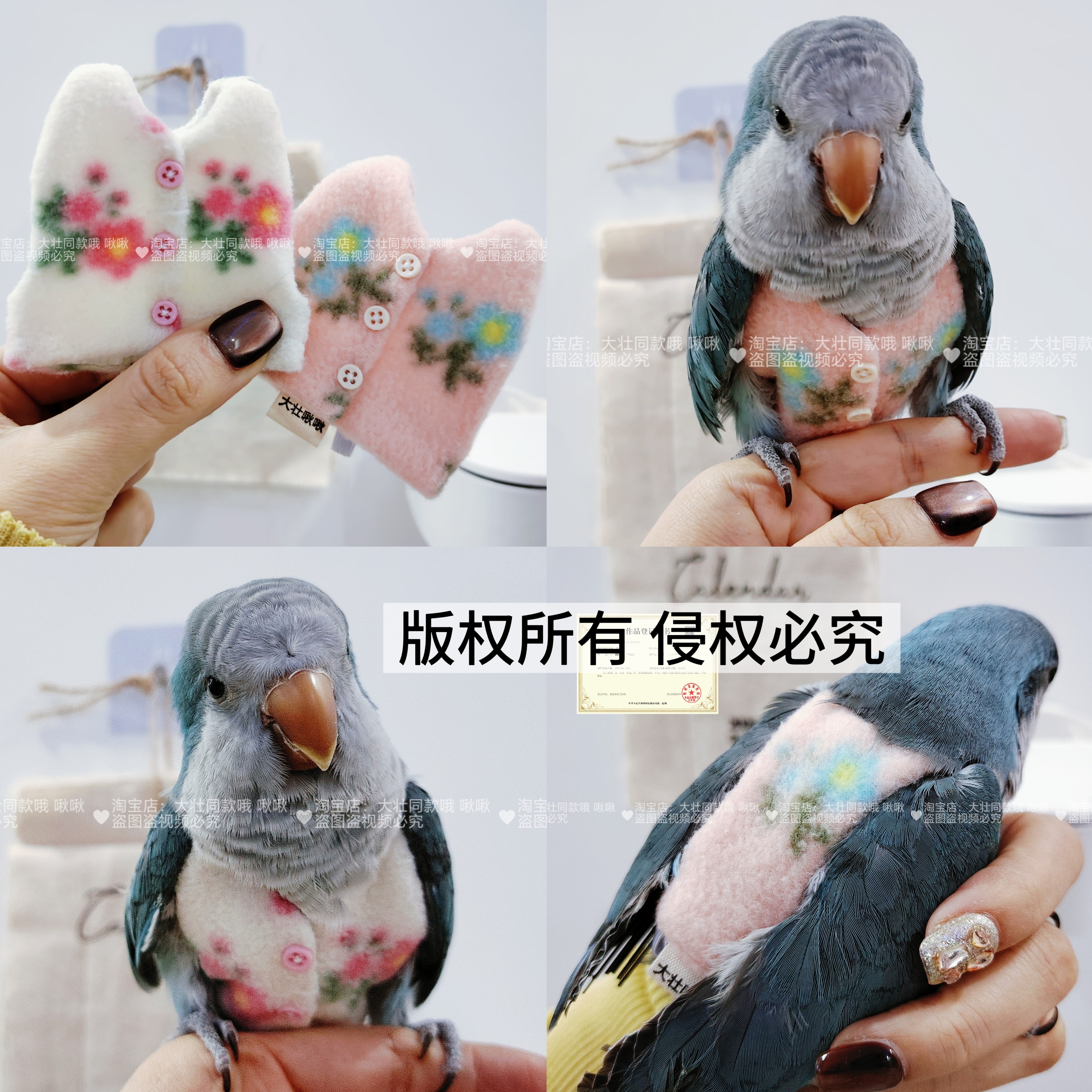 鹦鹉保暖马甲衣服遛鸟神器背带玄风牡丹放飞绳牵引防飞外出飞行服,宠物/宠物食品及用品,鸟禽服饰,淘宝优惠券,粉丝福利购,淘宝优惠卷