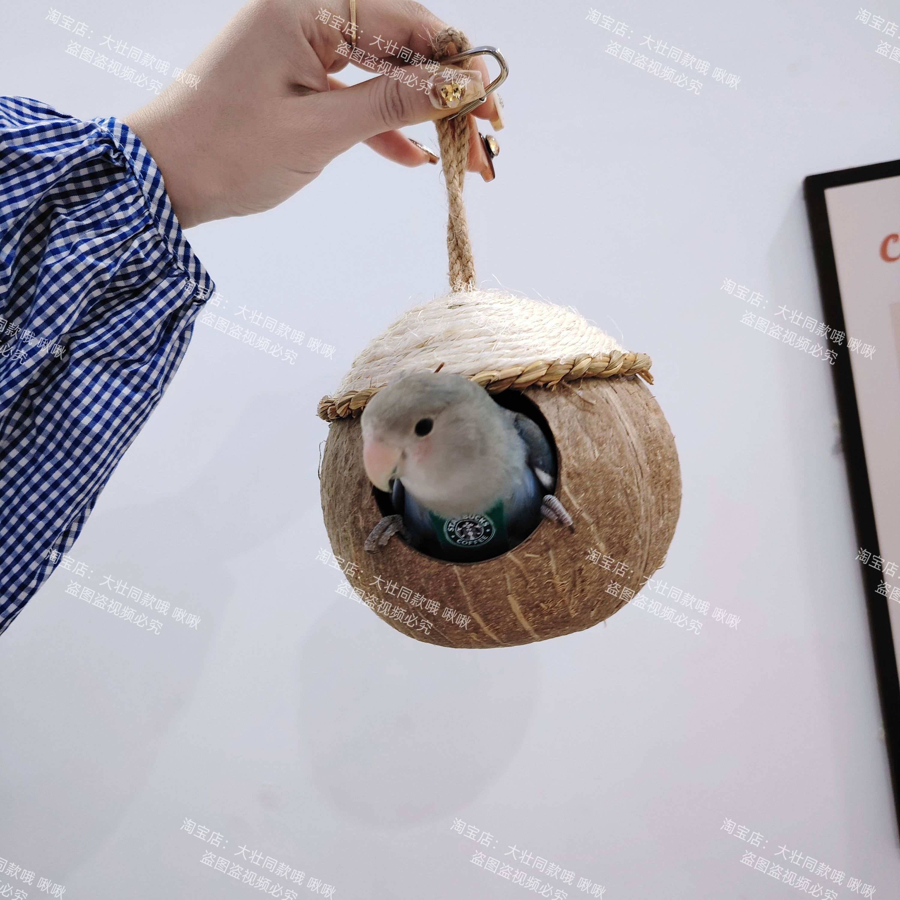 椰壳鸟窝鸟巢鸟窝宠物用品玩具椰壳仓鼠窝牡丹鹦鹉窝文鸟鸟窝