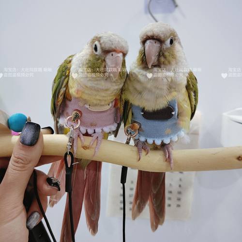 爱心款宠物鹦鹉鸟超轻背带背心外出牵引衣服防止飞丢飞行服