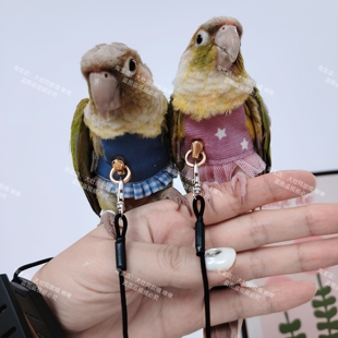 新款宠物鹦鹉鸟超轻背带背心外出牵引衣服防止飞丢飞行服溜鸟神器