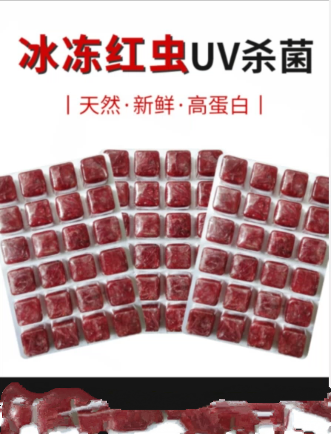 冰冻斑马狗头雷龙鱼饲料活体红虫