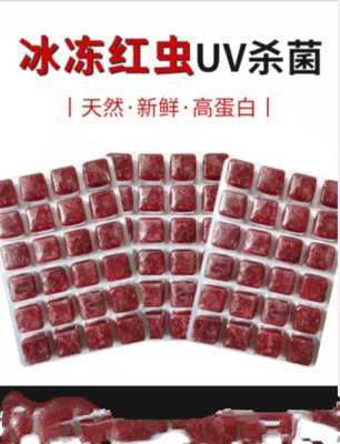 冰冻斑马狗头雷龙鱼饲料活体红虫