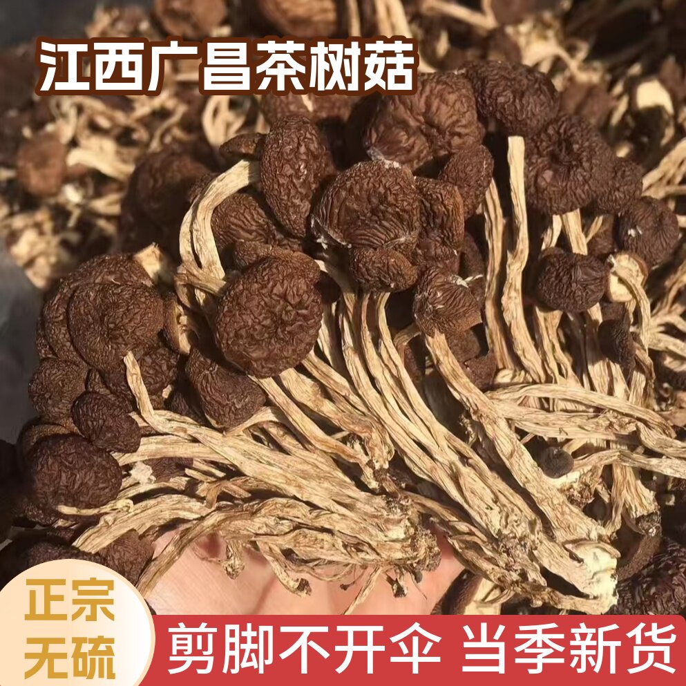 江西广昌茶树菇干货不开伞剪把优质菌菇五号蘑菇香菇净重无添加剂