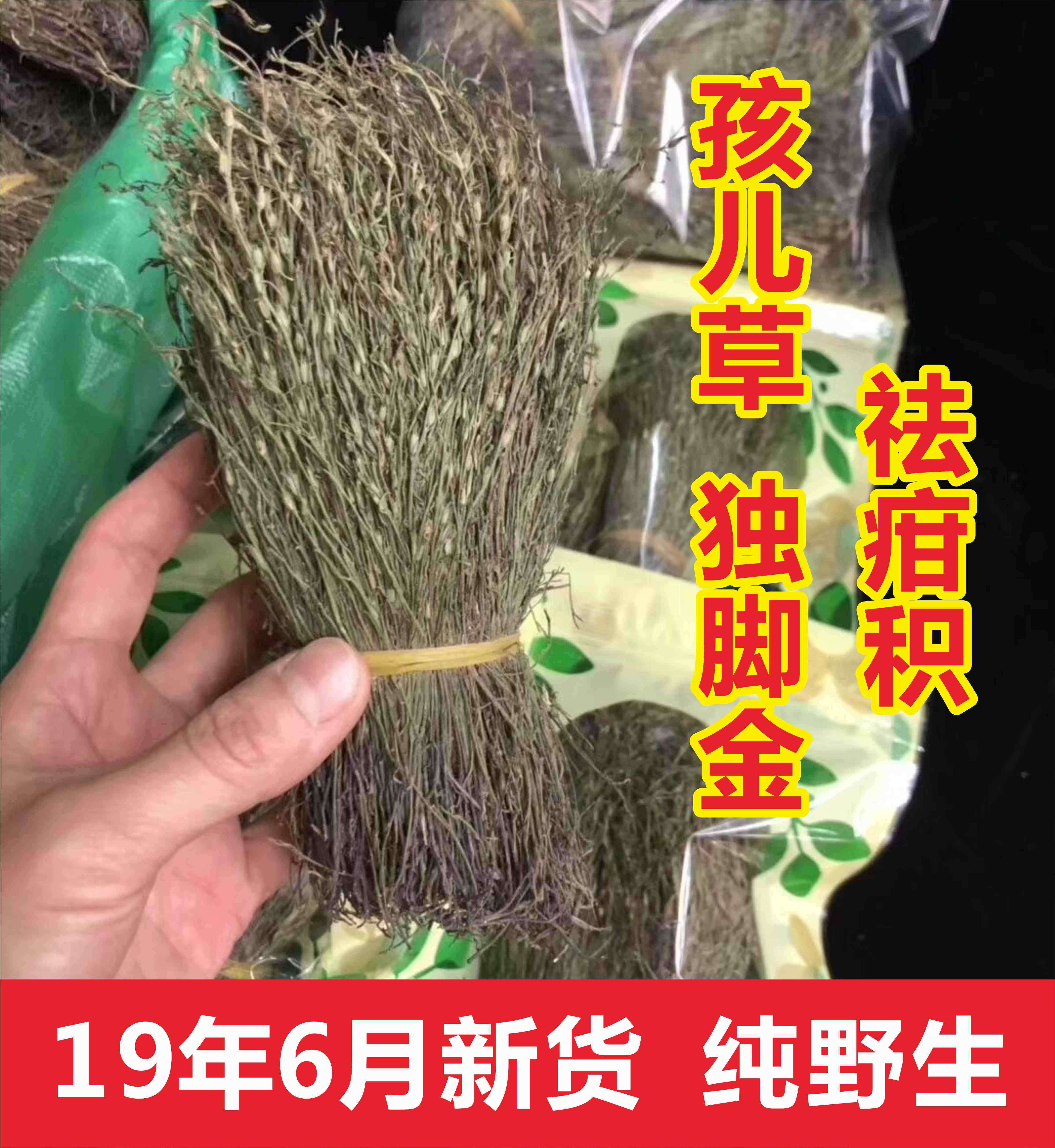 广西疳积草煲汤独脚金