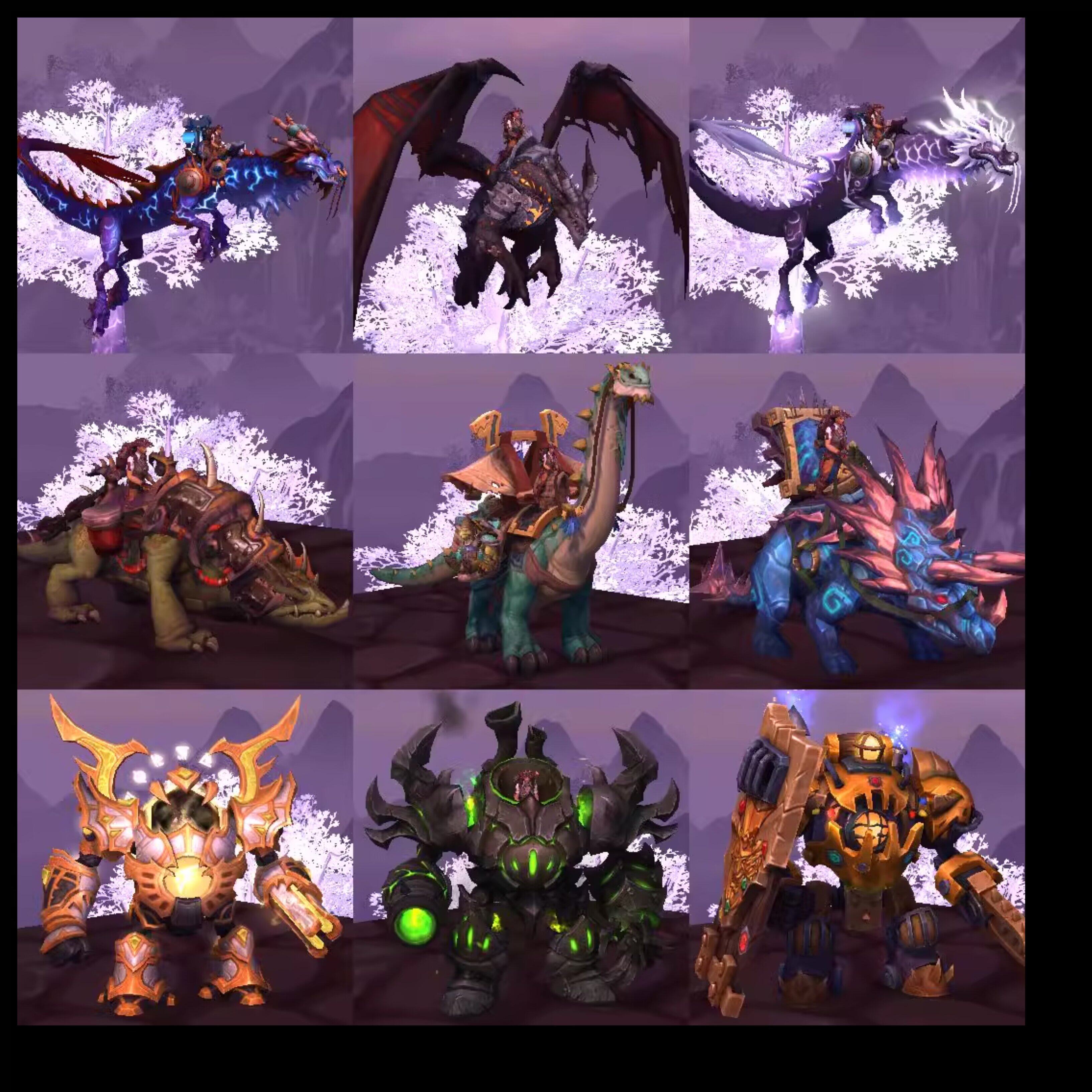 魔兽世界账号圣骑士2W9成就100+崇拜炎魔头雷龙怒之煞龙652只坐骑