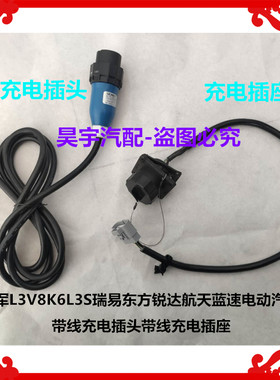 适用于雷军L3V8K6L3S瑞易东方锐达电动汽车充电器线充电插头插座