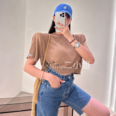 韩国chic夏季薄款袖子刺绣针织上衣女设计感小众宽松显瘦短款T恤