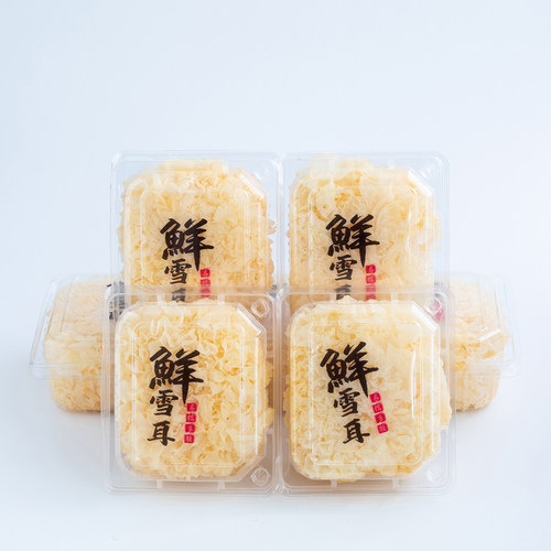 【顺丰德邦7朵装】现摘现发古田新鲜银耳800g活雪耳糯耳非干银耳