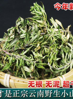 云南野生小山茶红河凉茶