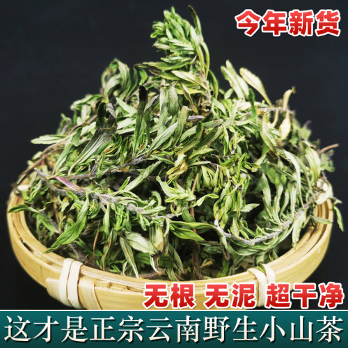 云南野生小山茶红河凉茶