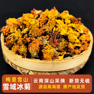 云南 雪域冰菊 西域冰菊 高原冰菊 高山高海拔 天山冰菊 昆仑雪菊