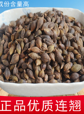 连翘 正品优质连翘连桥青翘 双黄连保健配料散装 包邮