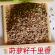 包邮 川菜火锅麻辣烫香料满18元 莳萝籽土茴香莳萝子50克 千里香