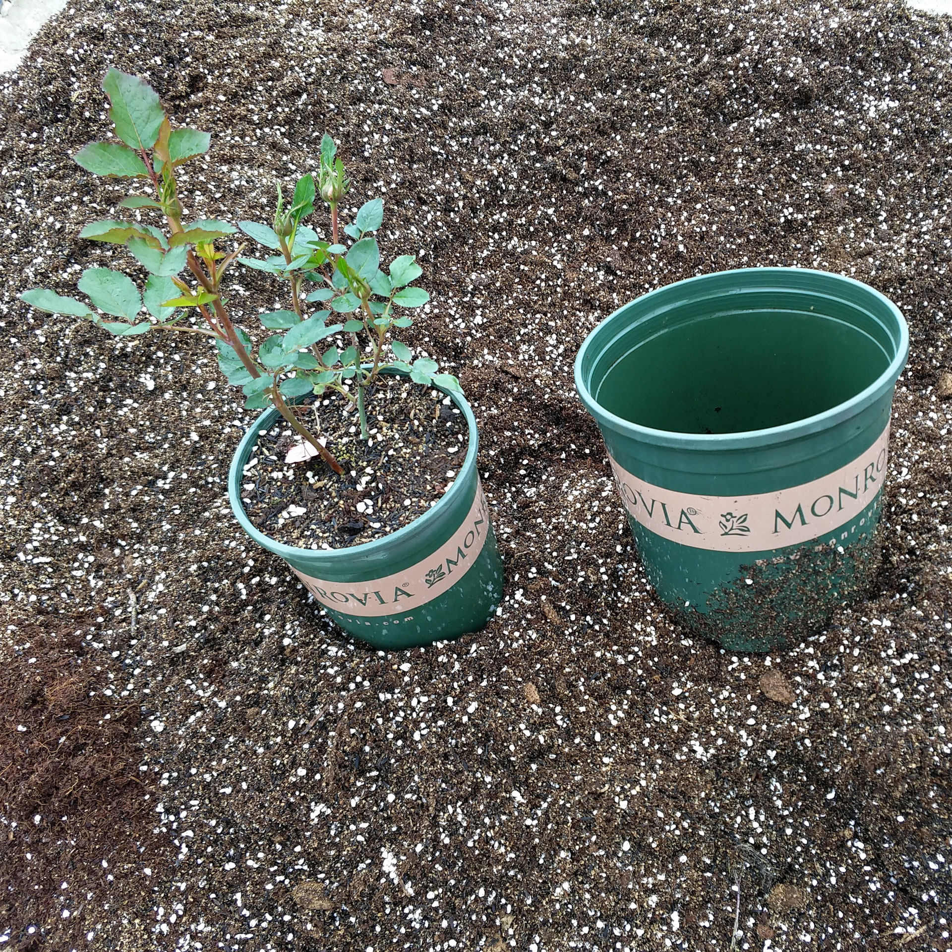 浩田定制月季花铁线莲绣球营养土疏松透气配方种植介质1加仑份量