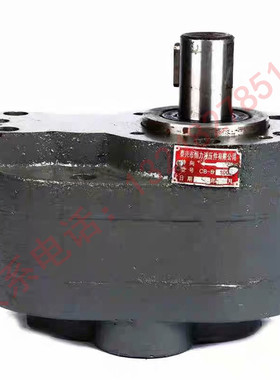 CB-B系列齿轮泵 CB-B2.5 4 6 10 16 25 32 40 50 63 磨床油泵现货