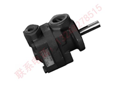 V10V20系列现货V20-1P6P/1P7P/1P8P/1P9P-1A/1B/1C/1D-1020叶片泵