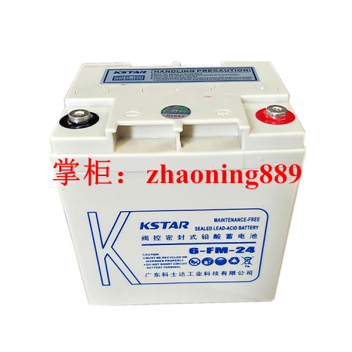 科士达蓄电池UPS中国12V24Ah
