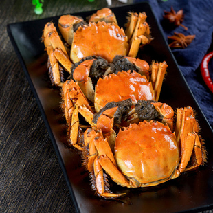 鲜活现货水产螃蟹 母蟹3.5两8只装 活蟹 特大大闸蟹净重公蟹4.5两
