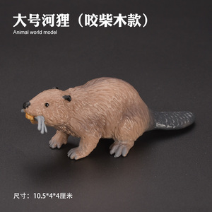 儿童仿真野生动物玩具模型爬行啮齿动物河狸海狸3-6岁