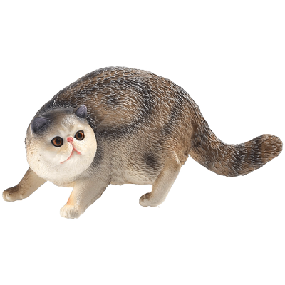 儿童野生动物猫灵无毛