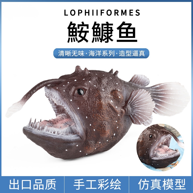 奥兰奇鱼鮟鱇鱼安康鱼老头鱼