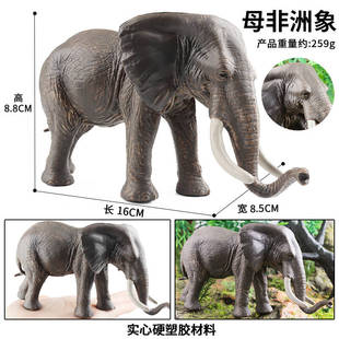 儿童仿真认知野生动物实心大象模型亚洲象非洲象家居造景摆件