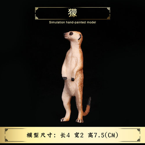 儿童玩具模型狸猫太阳野生动物