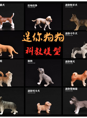 儿童礼物迷你狗狗玩具模型宠物犬斗牛犬狼狗金毛犬雪纳瑞柴犬猎犬