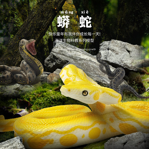 眼镜蛇儿童仿真玩具模型野生动物