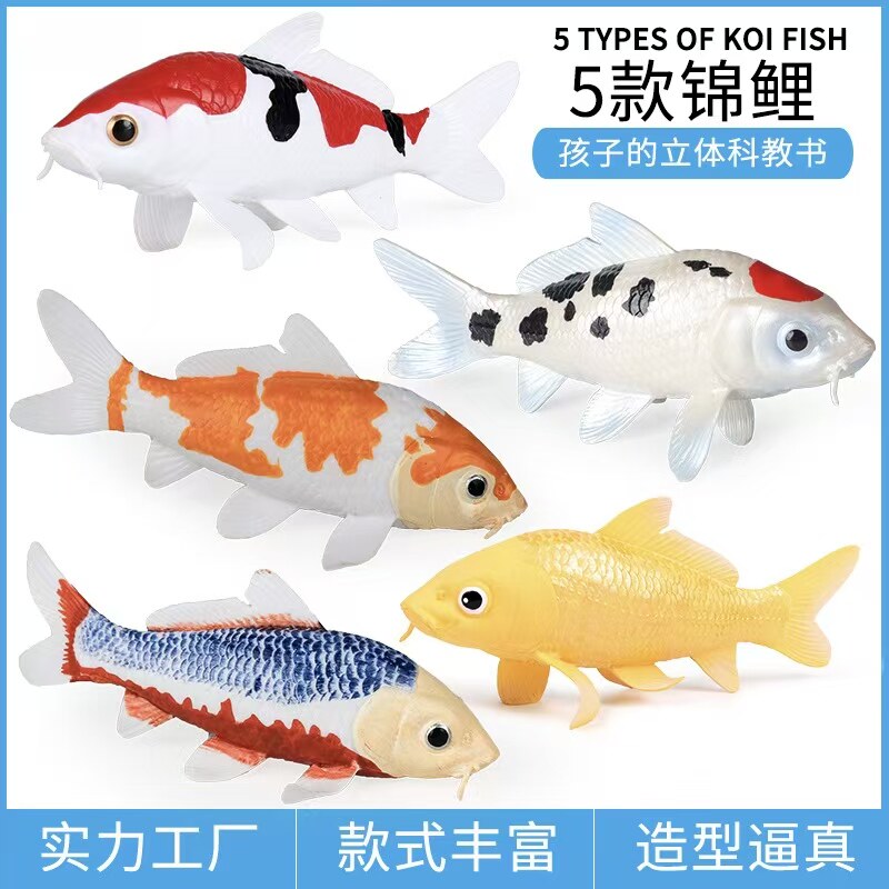 儿童仿真野生动物玩具模型鱼缸造景摆件淡水鱼金鱼锦鲤花脊鱼鲤鱼