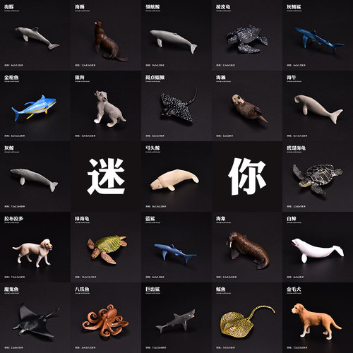 儿童迷你动物玩具模型恐龙动物海洋滴胶多肉微造景观摆件礼物 - 封面